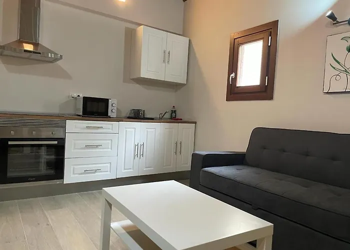 T2 Apartamento En Toledo Centro